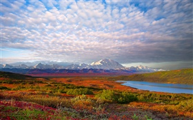 湖、木、雲、夕暮れ、デナリ国立公園、アラスカ州、アメリカ