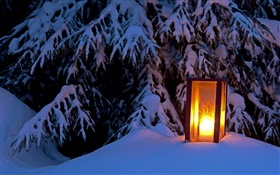 点灯ランタン、雪の木、冬 HDの壁紙