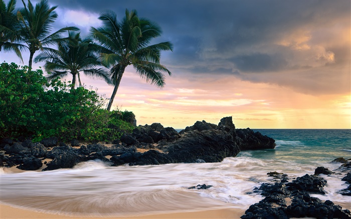 マケナコーブ、マウイ島、ハワイ、秘密のビーチ 壁紙 ピクチャー