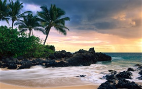 マケナコーブ、マウイ島、ハワイ、秘密のビーチ HDの壁紙