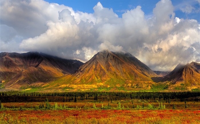 山、木、雲、デナリ国立公園、アラスカ州、アメリカ 壁紙 ピクチャー