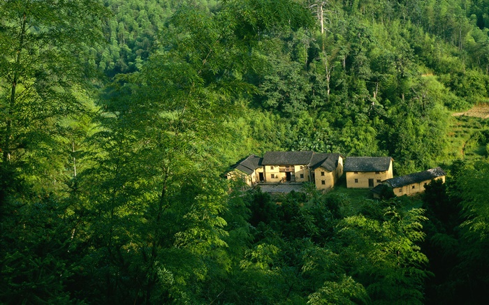 山、木、緑、古い家、中国の風景 壁紙 ピクチャー