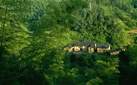 山、木、緑、古い家、中国の風景 HDの壁紙