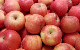 栄養豊富な果物、赤リンゴ HDの壁紙
