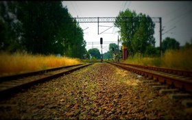 鉄道、木、電力線、赤色光 HDの壁紙