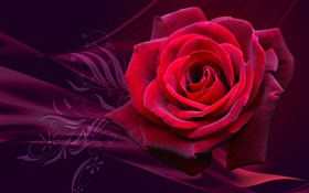 赤クローズアップ花をバラ HDの壁紙