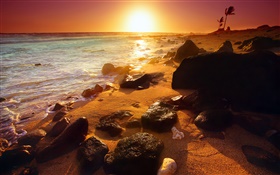 ロッキーの海岸線、日没、ハワイ、アメリカ