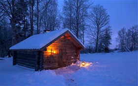 雪、木造住宅、裸の木、冬、夜、スウェーデン