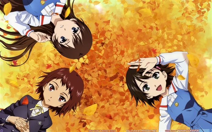 三アニメの女の子横たわって地面 壁紙 ピクチャー