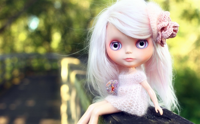 白髪、おもちゃの女の子、人形 壁紙 ピクチャー