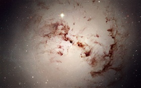 ホワイト星雲 HDの壁紙