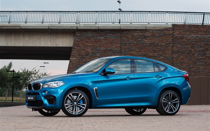 2015 BMW X6M ZAスペックF16ブルーのSUV車 壁紙 ピクチャー
