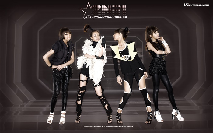 2NE1、韓国音楽の女の子 07 壁紙 ピクチャー
