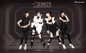 2NE1、韓国音楽の女の子 07 HDの壁紙