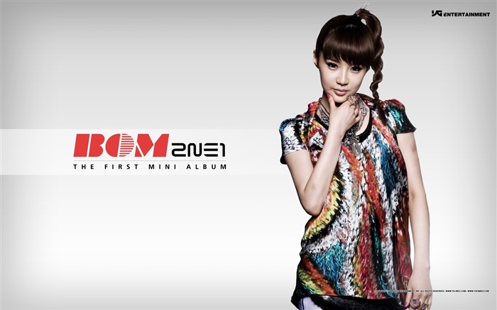 2NE1、韓国音楽の女の子 08 壁紙 ピクチャー