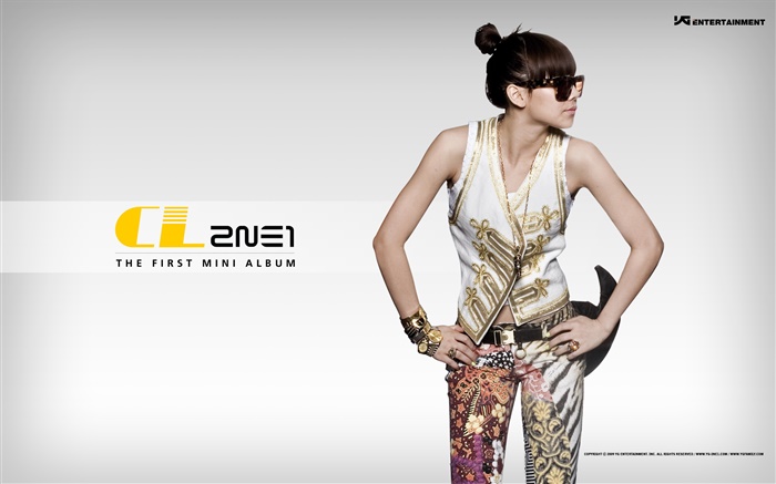 2NE1、韓国音楽の女の子 09 壁紙 ピクチャー