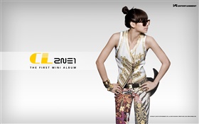 2NE1、韓国音楽の女の子 09 HDの壁紙