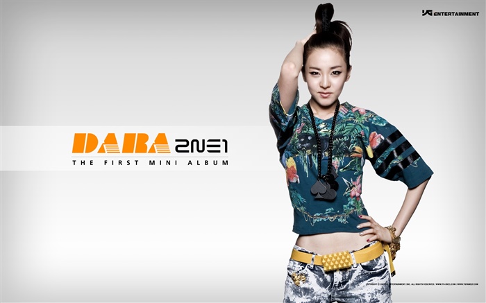 2NE1、韓国音楽の女の子 10 壁紙 ピクチャー