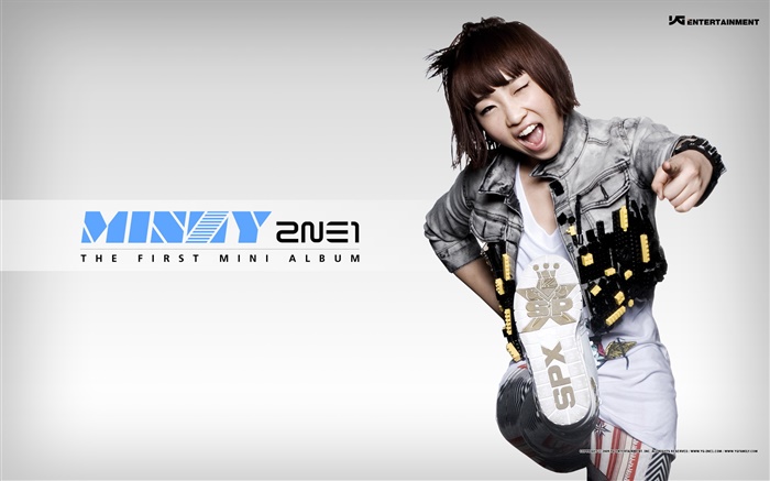 2NE1、韓国音楽の女の子 11 壁紙 ピクチャー