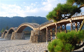 アーチ型の木製の橋、木