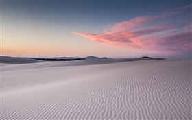 ベネットのビーチ、オーストラリア、砂、砂丘