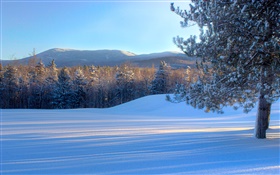 パンローフマウンテン、雪、木、冬、バーモント州、アメリカ HDの壁紙