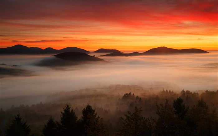 夜明け、山、森、雲、赤い空、霧 壁紙 ピクチャー