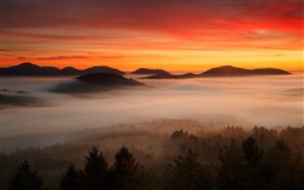 夜明け、山、森、雲、赤い空、霧 HDの壁紙