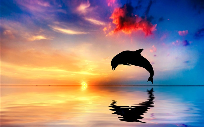 イルカのジャンプ、シルエット、海、水の反射、日没 壁紙 ピクチャー