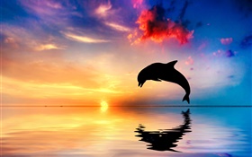 イルカのジャンプ、シルエット、海、水の反射、日没 HDの壁紙