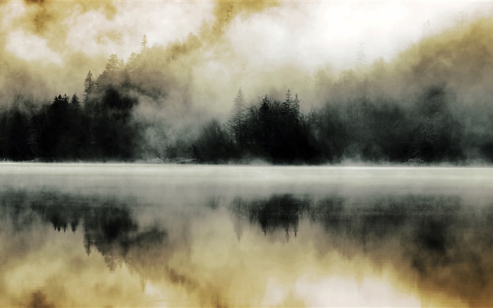 森、湖、霧、夜明け、水反射 壁紙 ピクチャー