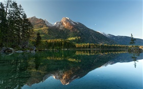 湖、木、山、水反射 HDの壁紙