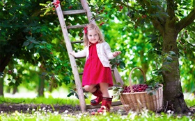 少女サクランボ狩り、子供、木、庭 HDの壁紙