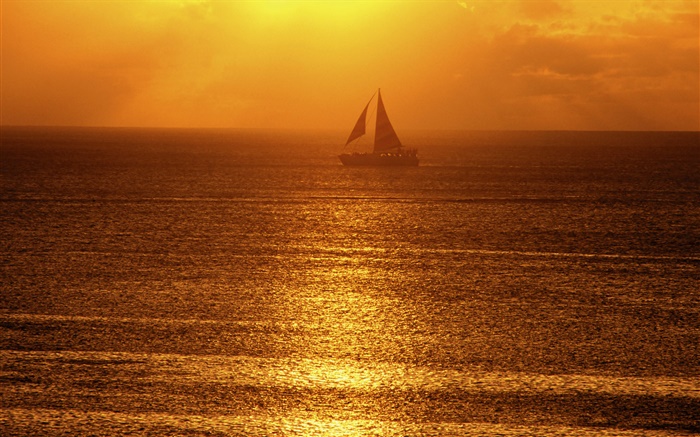 朝、霧、海、船、太陽の光 壁紙 ピクチャー