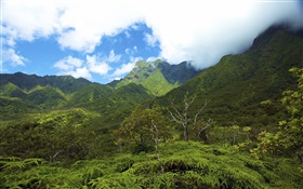 山、谷、ハワイ諸島 HDの壁紙