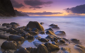 岩、ビーチ、海、夕日、ハワイ、アメリカ