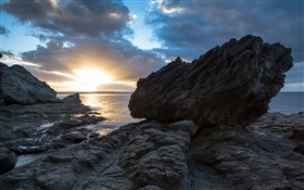 岩、海、夕日、コロマンデル、ニュージーランド HDの壁紙