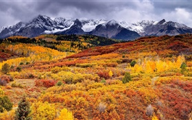 斜面、山、木、秋、雲 HDの壁紙