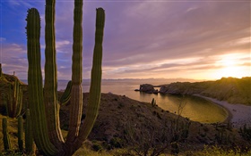 日没、丘、海、サンタカタリナ島、カリフォルニア州、アメリカ HDの壁紙