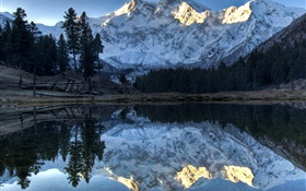 山、湖、木、水、反射、雪 HDの壁紙