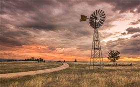 ニューサウスウェールズ州、オーストラリア、草、風車、雲、夕日 HDの壁紙