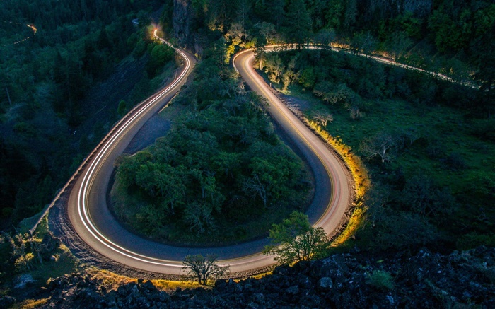 夜、道路、木、ライト 壁紙 ピクチャー