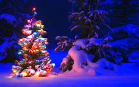 雪、ライト、木、冬、夜、クリスマス