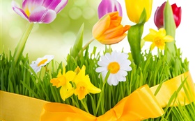 春、色とりどりの花、チューリップ HDの壁紙