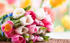 春、チューリップ、花、白、ピンク