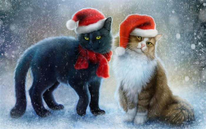 二匹の猫、雪、スカーフ、クリスマスの帽子 壁紙 ピクチャー