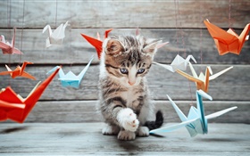 かわいい子猫、カラフルな紙の鳥 HDの壁紙