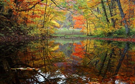 森、湖、木、秋 HDの壁紙