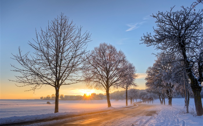 ドイツ、冬、雪、木、道路、住宅、日没 壁紙 ピクチャー