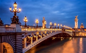パリ、フランス、夜、ライト、橋 HDの壁紙